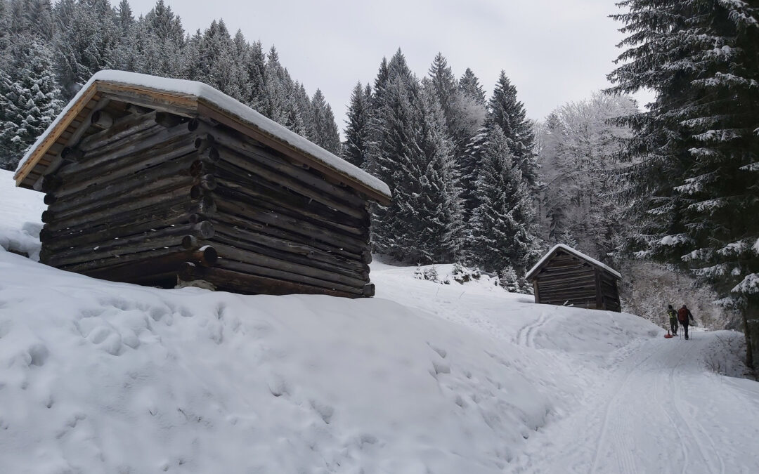 Furx – Alpwegkopf, Winterwandern & Rodeln