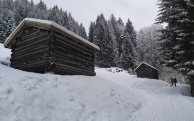 Furx – Alpwegkopf, Winterwandern & Rodeln