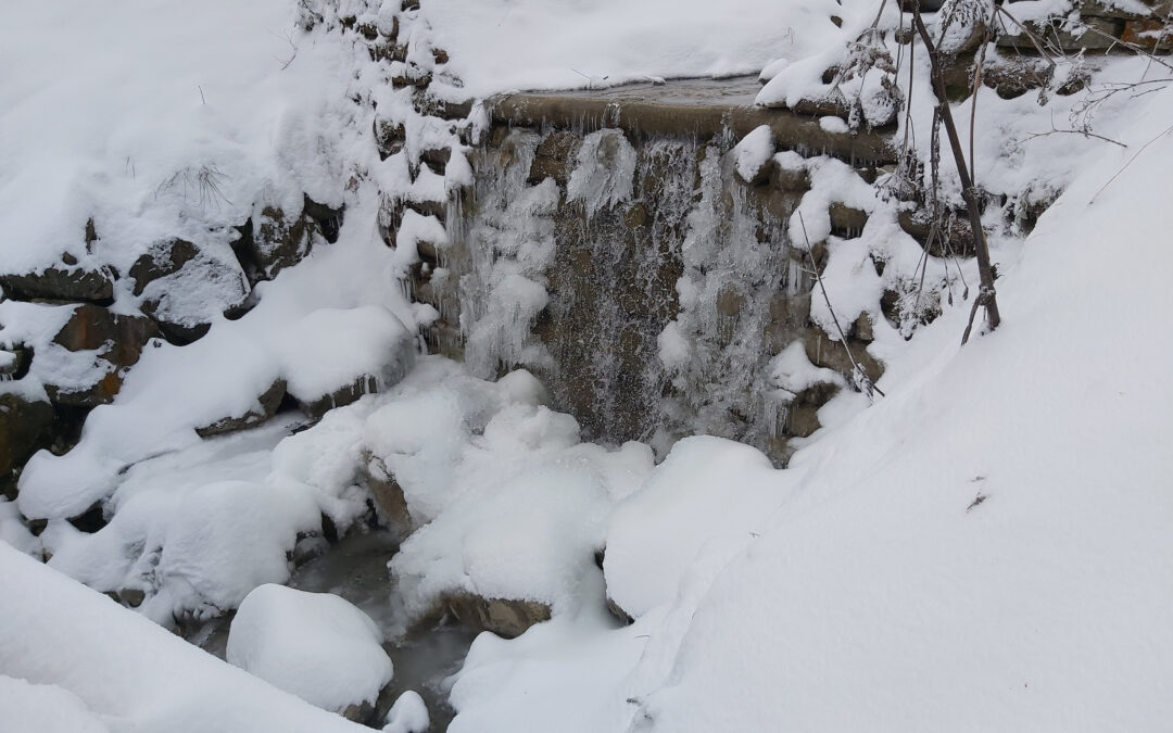 Winterwandern Millrütte – Gsohl – Fluhereck